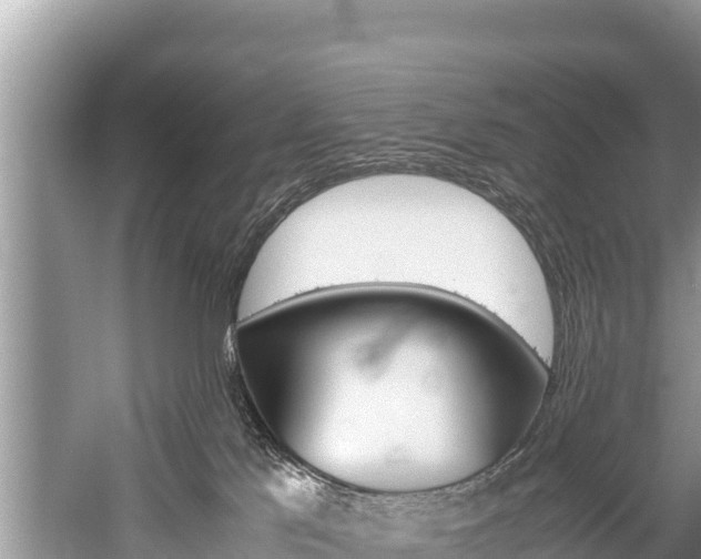 X0000059830041200510211033