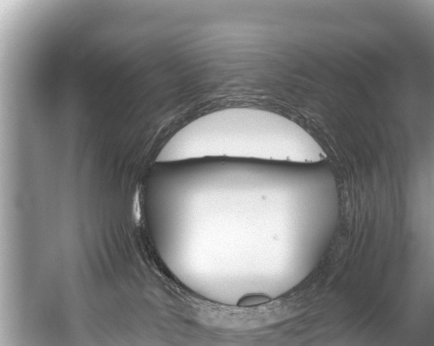 X0000059830042200510211033