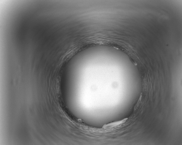 X0000059830043200510211033