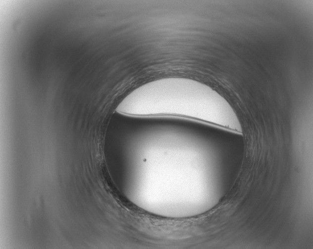 X0000059830044200510211033