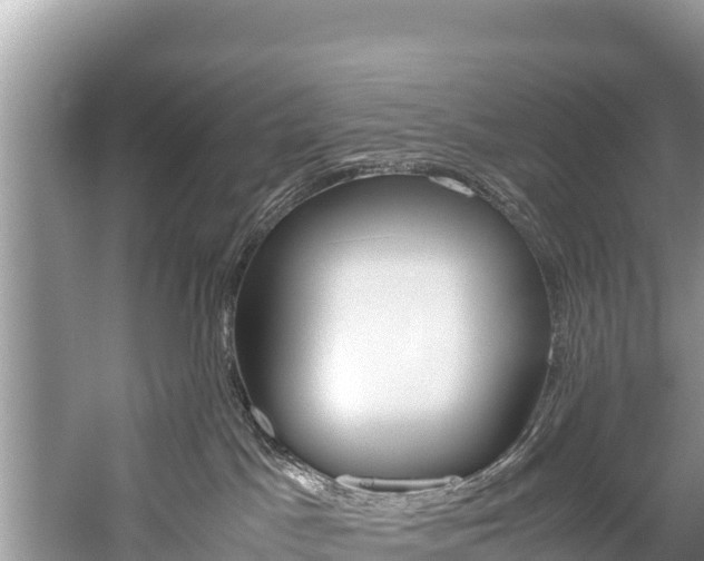 X0000059830045200510211033