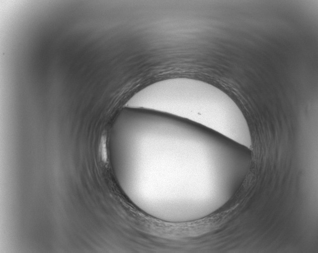 X0000059830046200510211033