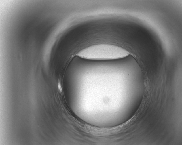 X0000059830047200510211033