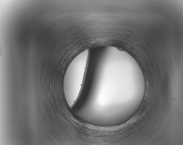 X0000059830048200510211033