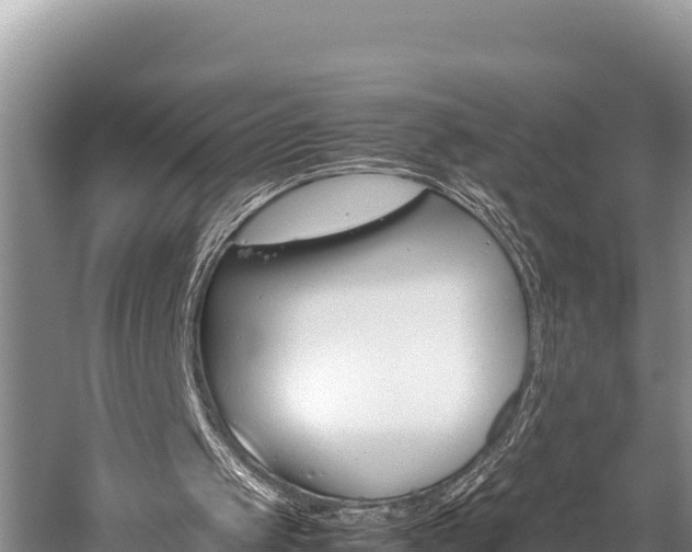 X0000059830049200510211032