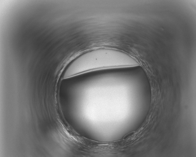 X0000059830050200510211032