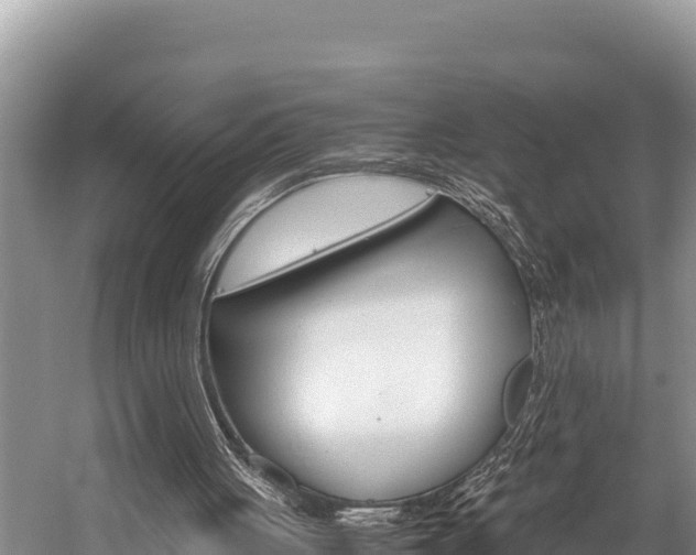 X0000059830051200510211032