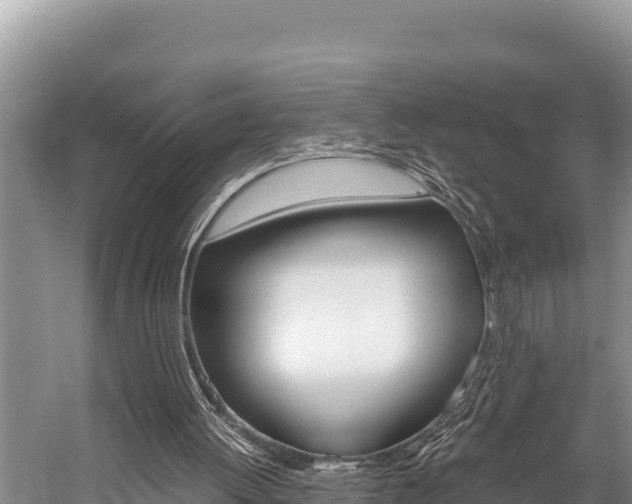 X0000059830052200510211032