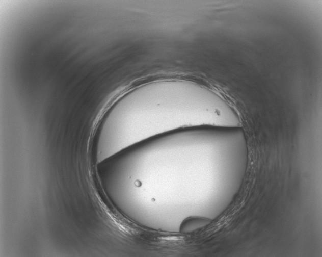 X0000059830053200510211032