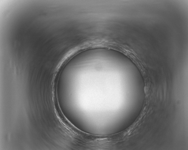 X0000059830054200510211032