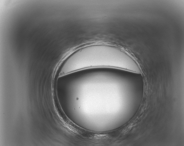 X0000059830055200510211032