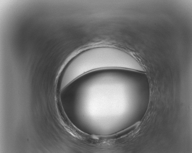 X0000059830056200510211032