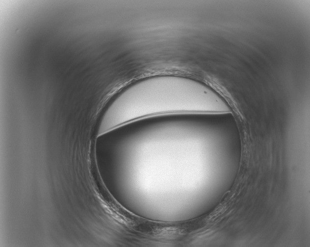 X0000059830058200510211032