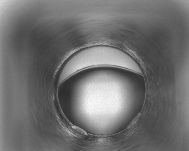 X0000059830060200510211032