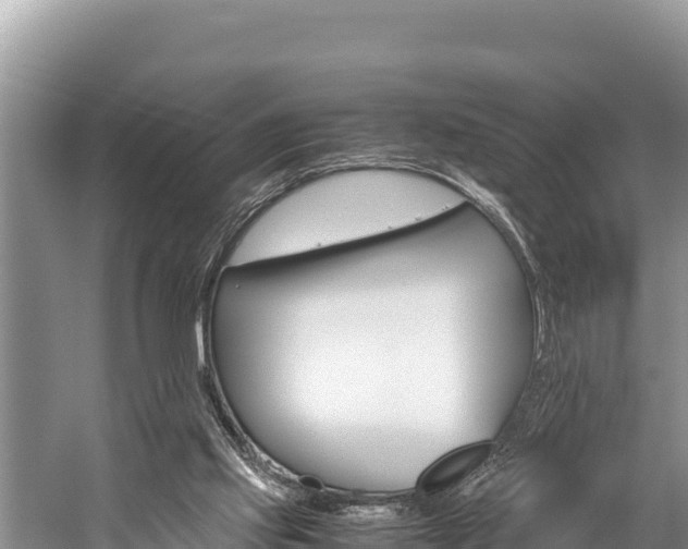 X0000059830061200510211032