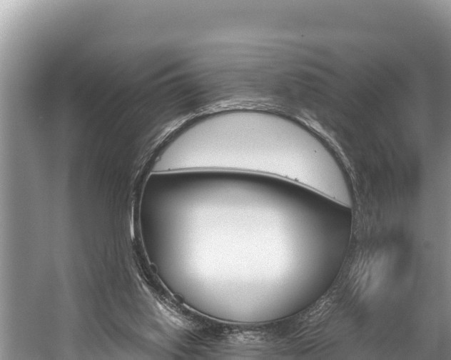 X0000059830062200510211032