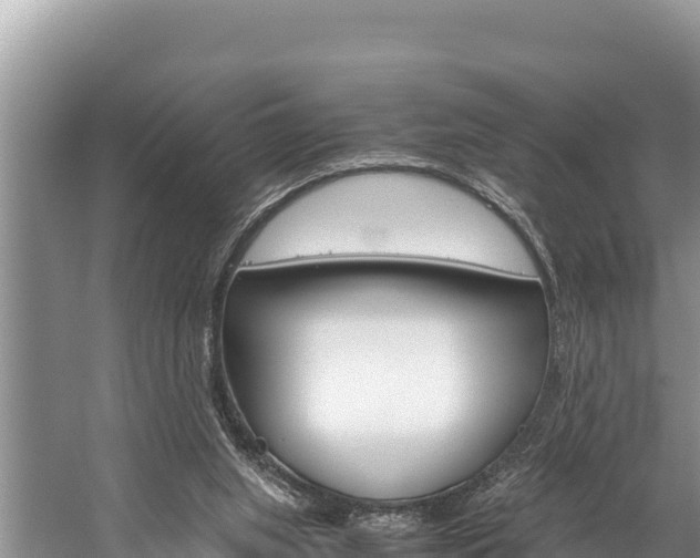 X0000059830063200510211032