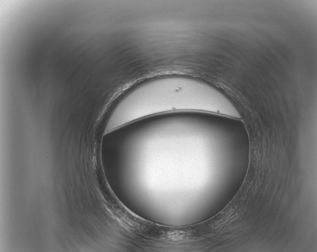 X0000059830064200510211032