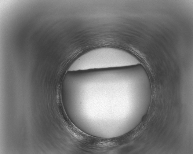 X0000059830065200510211032