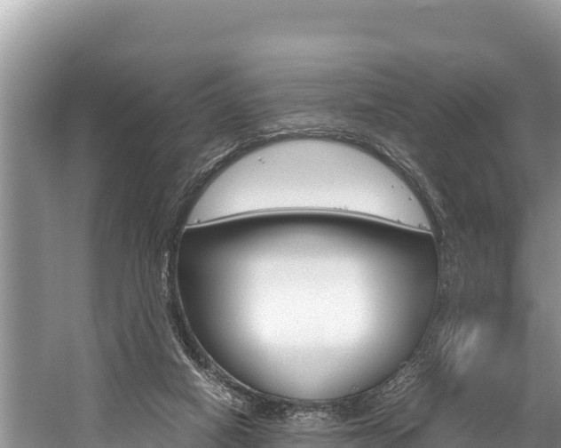 X0000059830066200510211032