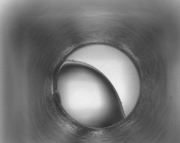 X0000059830068200510211033