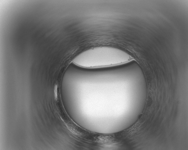 X0000059830070200510211033