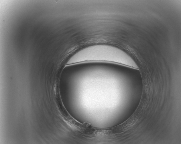 X0000059830072200510211033