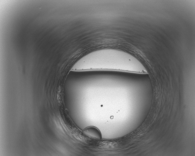 X0000059830073200510211033