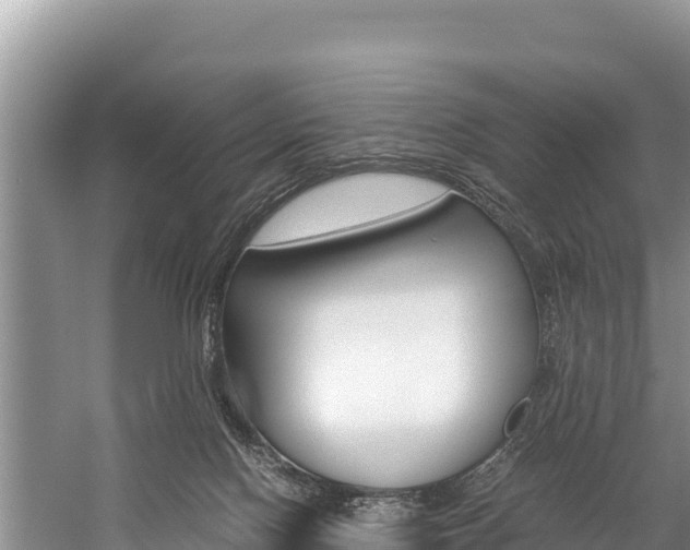 X0000059830074200510211033