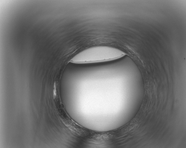 X0000059830075200510211033