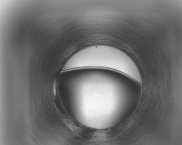 X0000059830076200510211033