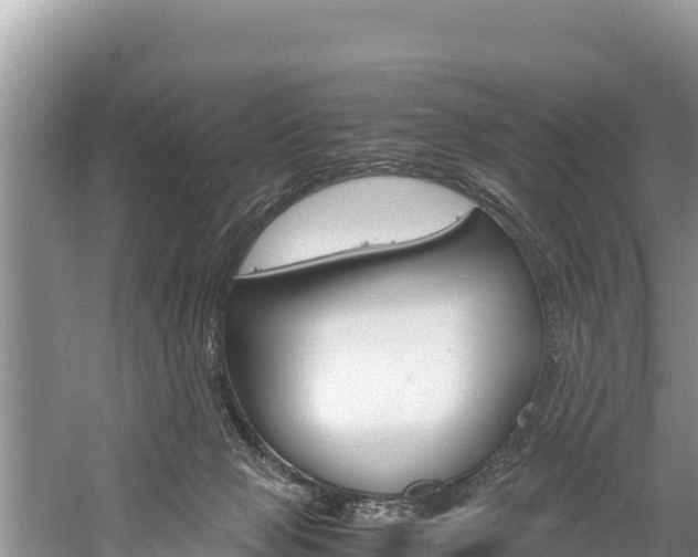 X0000059830077200510211033