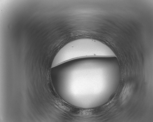 X0000059830078200510211033