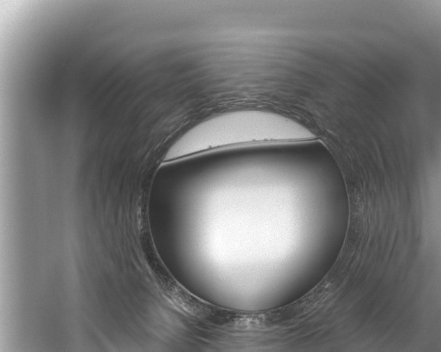 X0000059830080200510211033