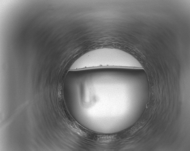 X0000059830081200510211033