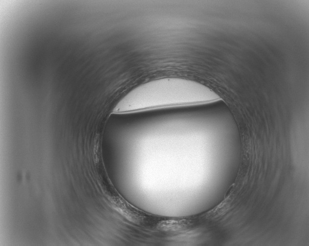 X0000059830082200510211033