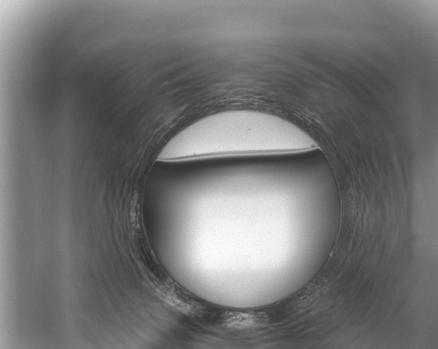 X0000059830083200510211033