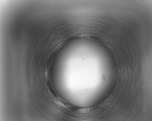 X0000059830084200510211033