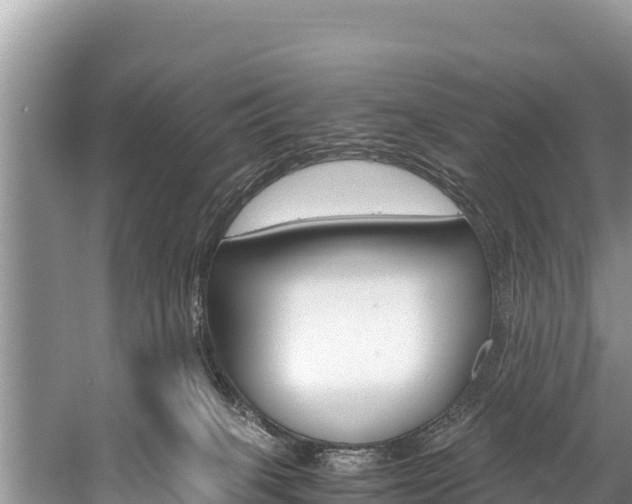 X0000059830085200510211033