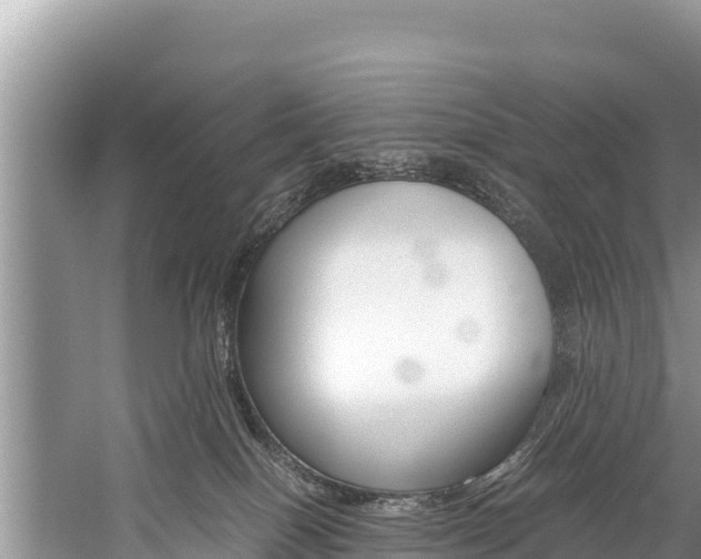 X0000059830086200510211033