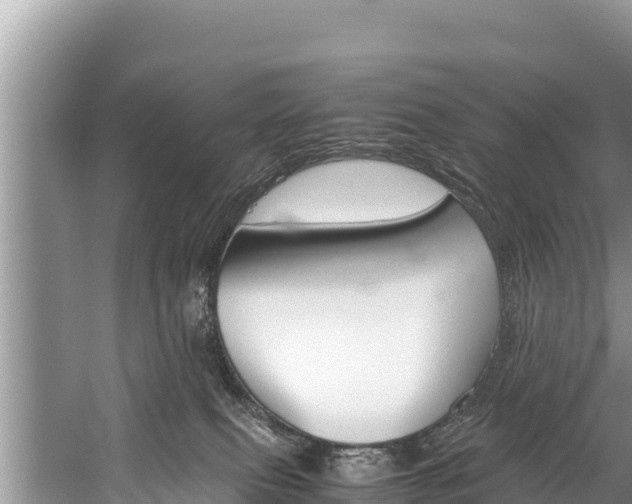 X0000059830087200510211033