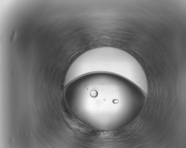 X0000059830088200510211033