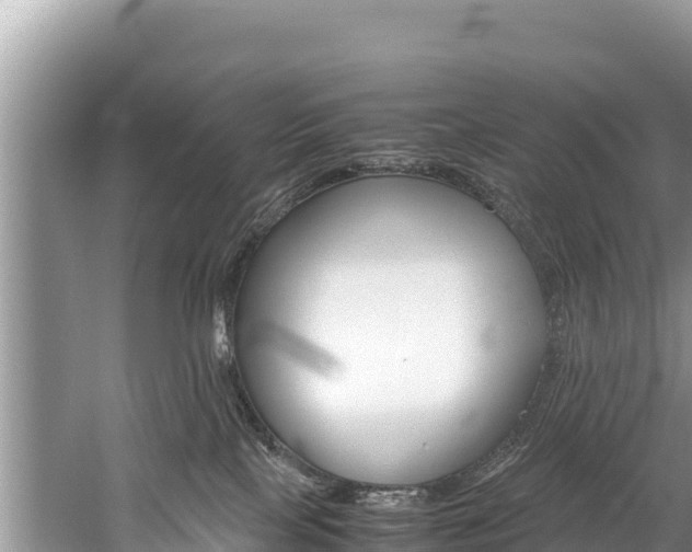 X0000059830089200510211033