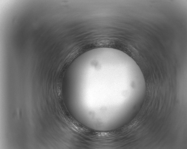 X0000059830091200510211033