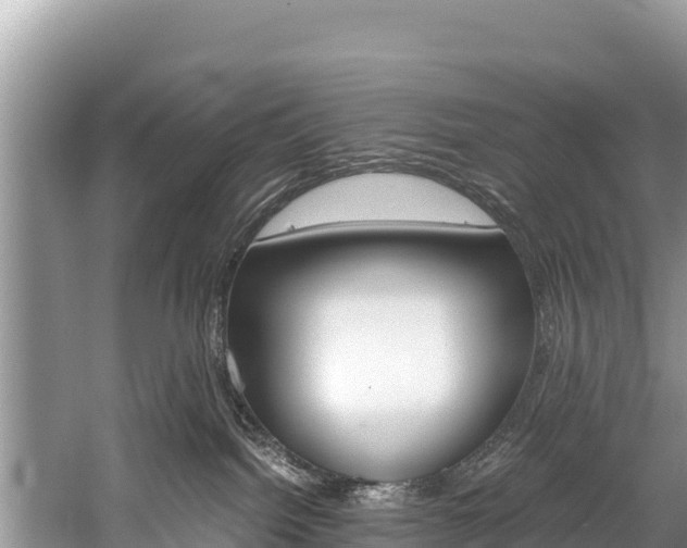 X0000059830092200510211033