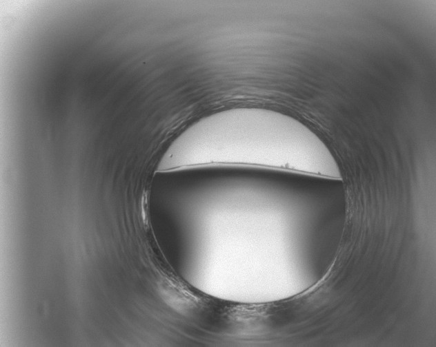 X0000059830094200510211033