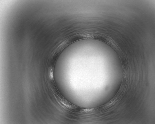 X0000059830095200510211033