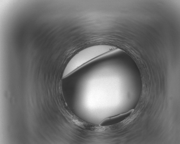 X0000059830096200510211033