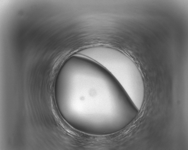 X0000059830097200510211032