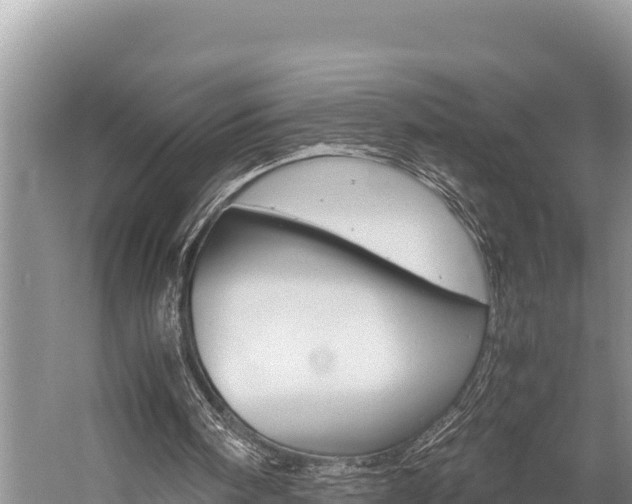 X0000059830098200510211032